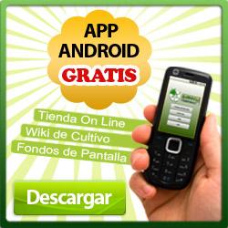 Aplicacion android CDC - Descargar